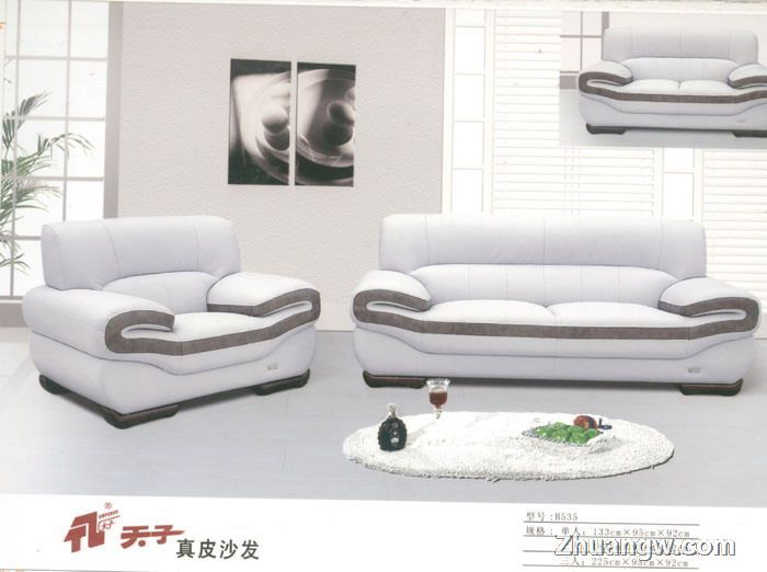 天子沙發家具圖片(九) 匠心工藝，盡顯客廳典雅風范